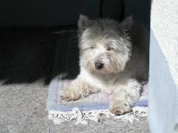 Klik op de foto voor groter formaat